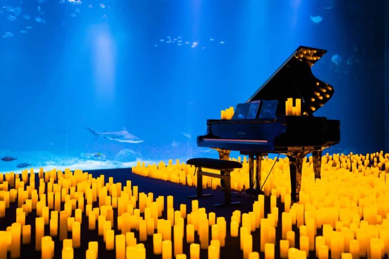 Conciertos del ciclo Candlelight: Tributo a Ludovico Einaudi, por Natalia Kuchaeva (piano)