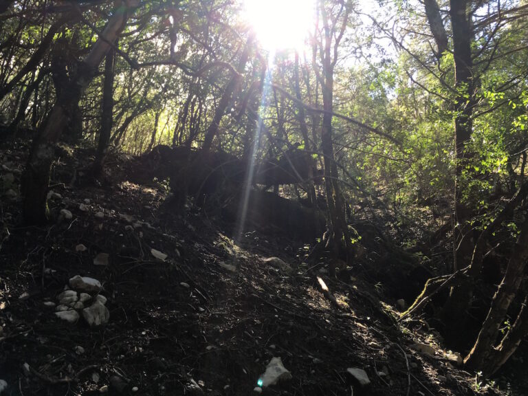 Senderismo: Llanos de Rabel