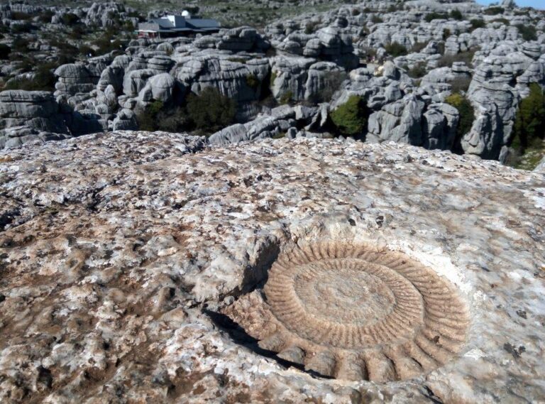 Senderismo: Los Ammonites del Torcal