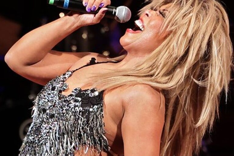 Tina Turner Tribute