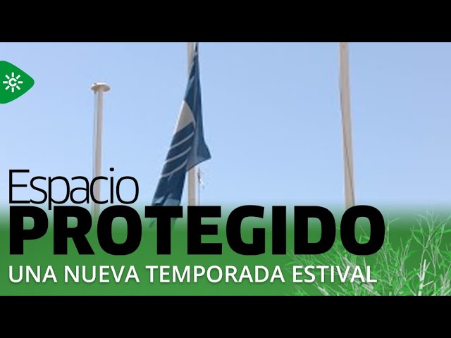 Banderas azules o banderas negras, ¿cómo están las playas andaluzas?