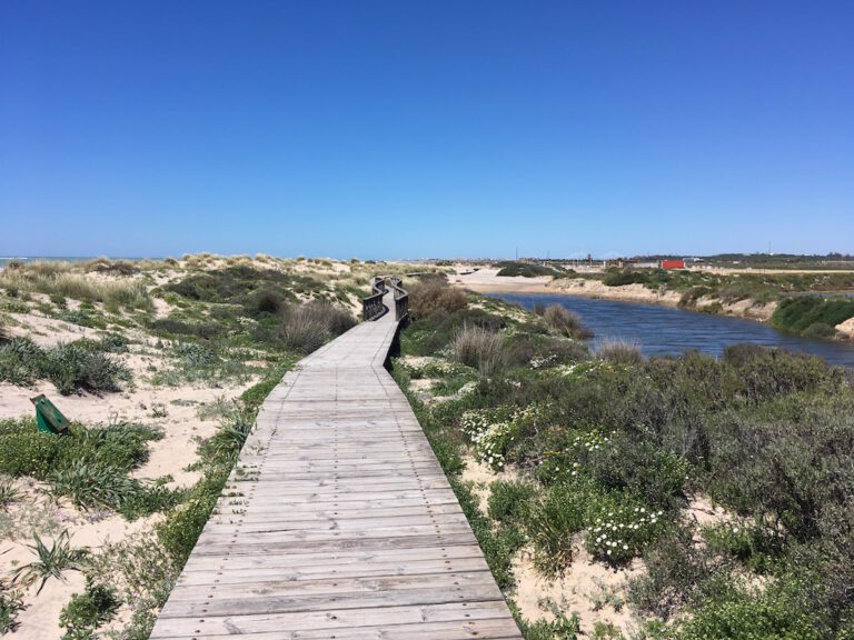 SENDERISMO: PUNTA DEL BOQUERÓN Y NAVEGANDO A SANCTI PETRI