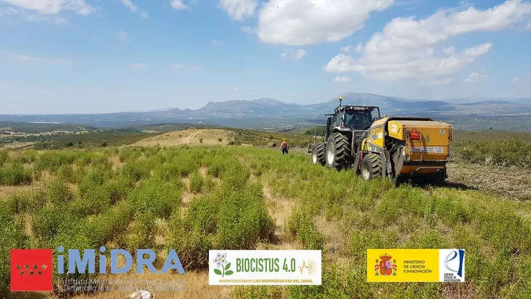 Nuevas Perspectivas del Aprovechamiento de la Jara Pringosa en la zona centro de España». Proyecto BIOCISTUS 4.0