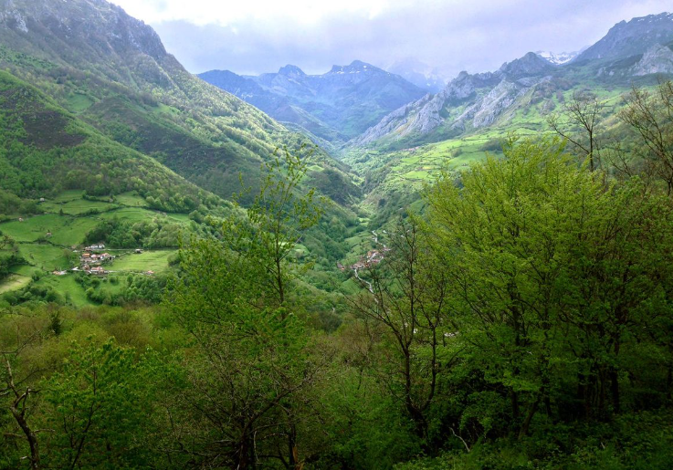 Los Planes de Gestión de los espacios de la RedNatura 2000 debilidades de formulación, forma de afrontarlos técnicamente