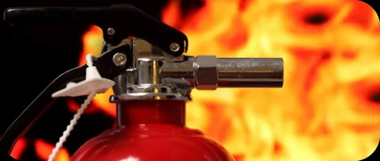 Día del fuego de Madrid. «Sostenibilidad e Incendio. Nuevos Retos»