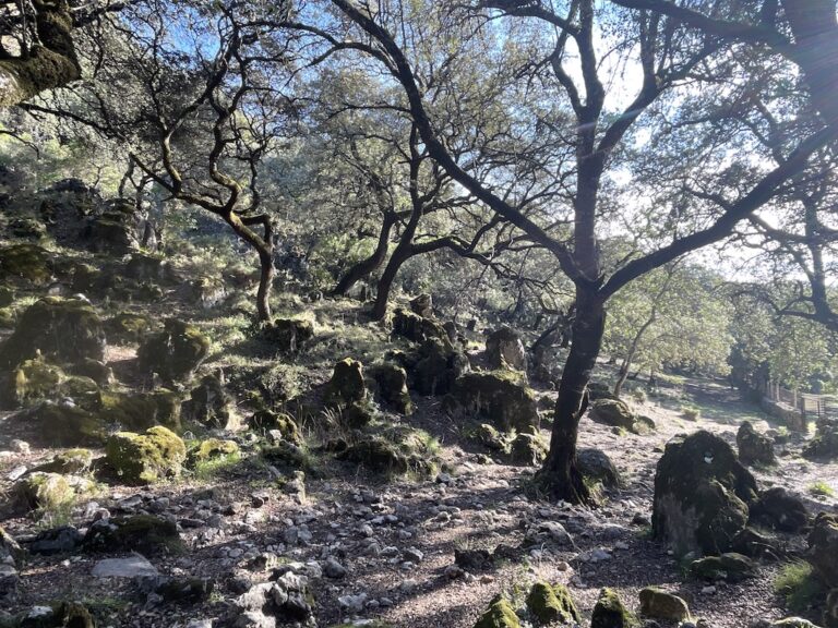 Senderismo: Sendero del Tesorillo