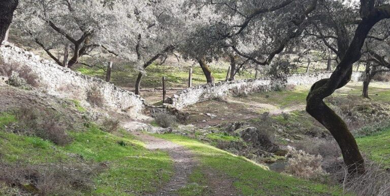 Senderismo: el Sendero de Belén