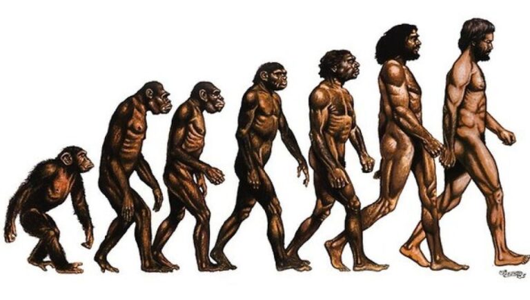 La evolución del ser humano en 15 minutos