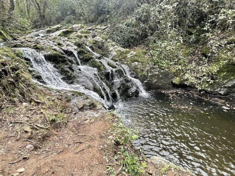 Senderismo- El rumor del agua