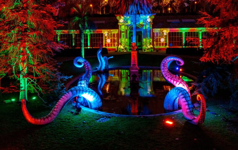 Naturaleza Encendida