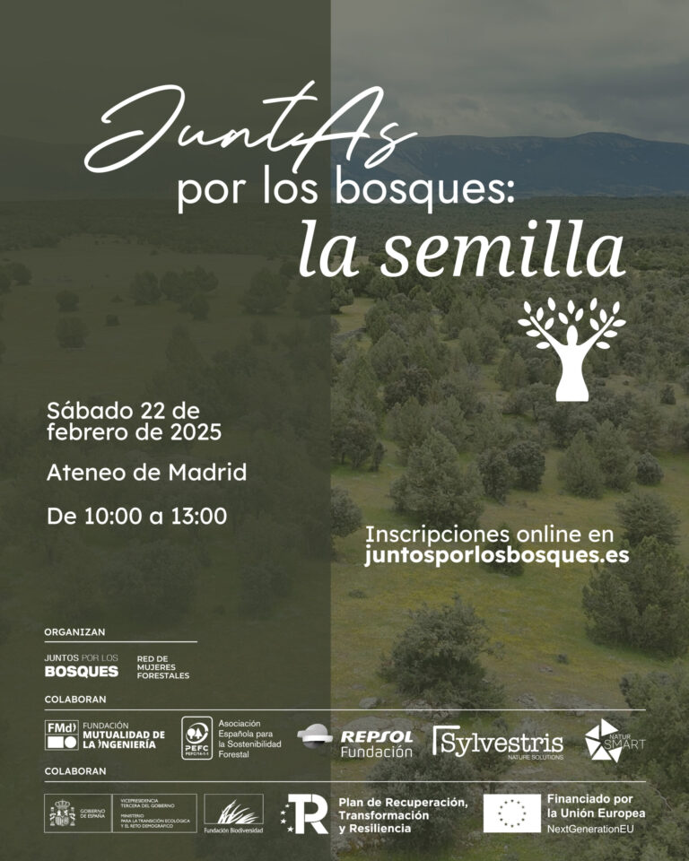 JuntAs por los bosques: la semilla