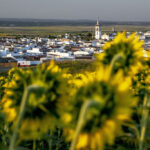 Patrimonio-Historico-Artistico-15