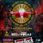 gansos-rosas-en-cordoba-2025-1735296942.5217981