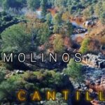 molinos2