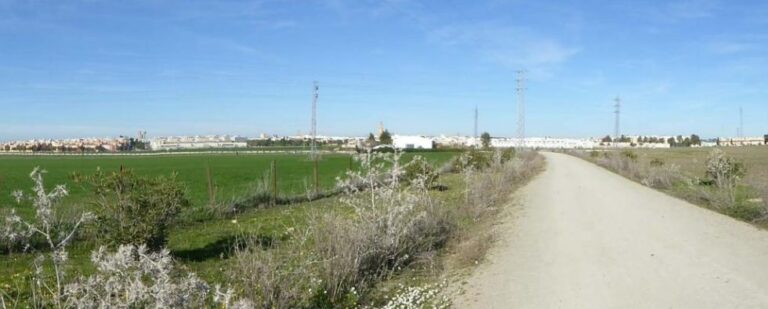 VIA AUGUSTA. ETAPA VI. DE LAS CABEZAS DE SAN JUAN A TRAJANO