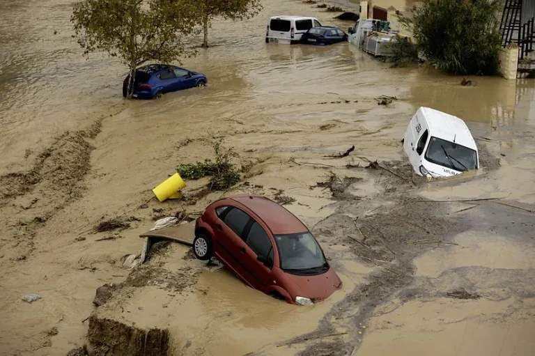 Ingeniería y prevención del riesgo de inundaciones y sus efectos