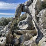 converted-IMG_1831