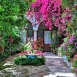 patios_cordoba_siT64vU