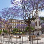 plaza-merced-malaga-2