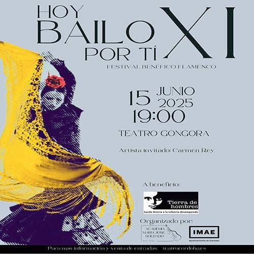 FLAMENCO HOY BAILO POR TI XI