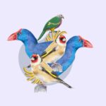 AAFF-CCX-IlustraCiencia-familiar-860x555px-aves_1695209724281 spa2