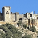 IMG_5091-copia-980×362