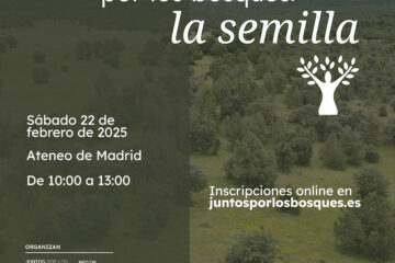 JuntAs por los bosques: la semilla