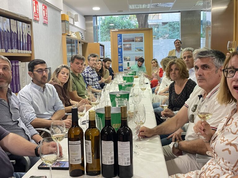 CATA DE VINOS CON GRUPO VIÑAFIEL (12-06-2025)