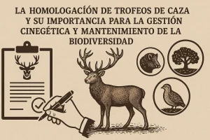 LA HOMOLOGACION DE TROFEOS DE CAZA Y SU IMPORTANCIA PARA LA GESTION CINEGETICA Y MANTENIMIENTO DE LA BIODIVERSIDAD