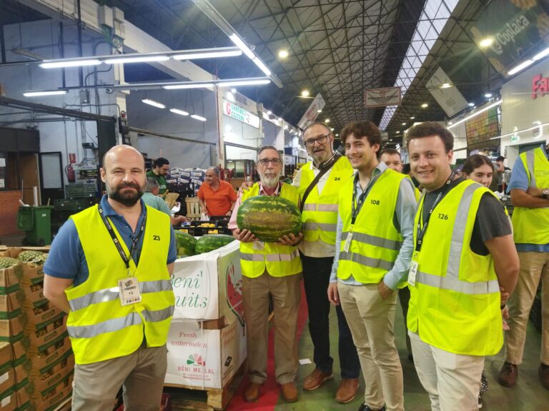 VISITA GUIADA A MERCASEVILLA (26/06/2026)