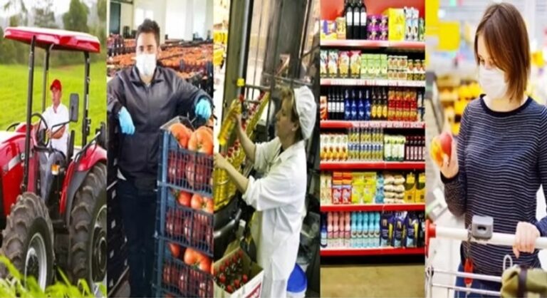 SISTEMAS AGROALIMENTARIOS Y CADENAS DE SUMINISTRO SOSTENIBLES