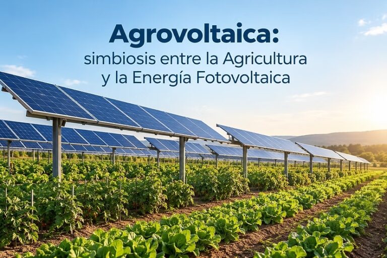 AGROVOLTAICA: SIMBIOSIS ENTRE LA AGRICULTURA Y LA ENERGÍA FOTOVOLTAICA